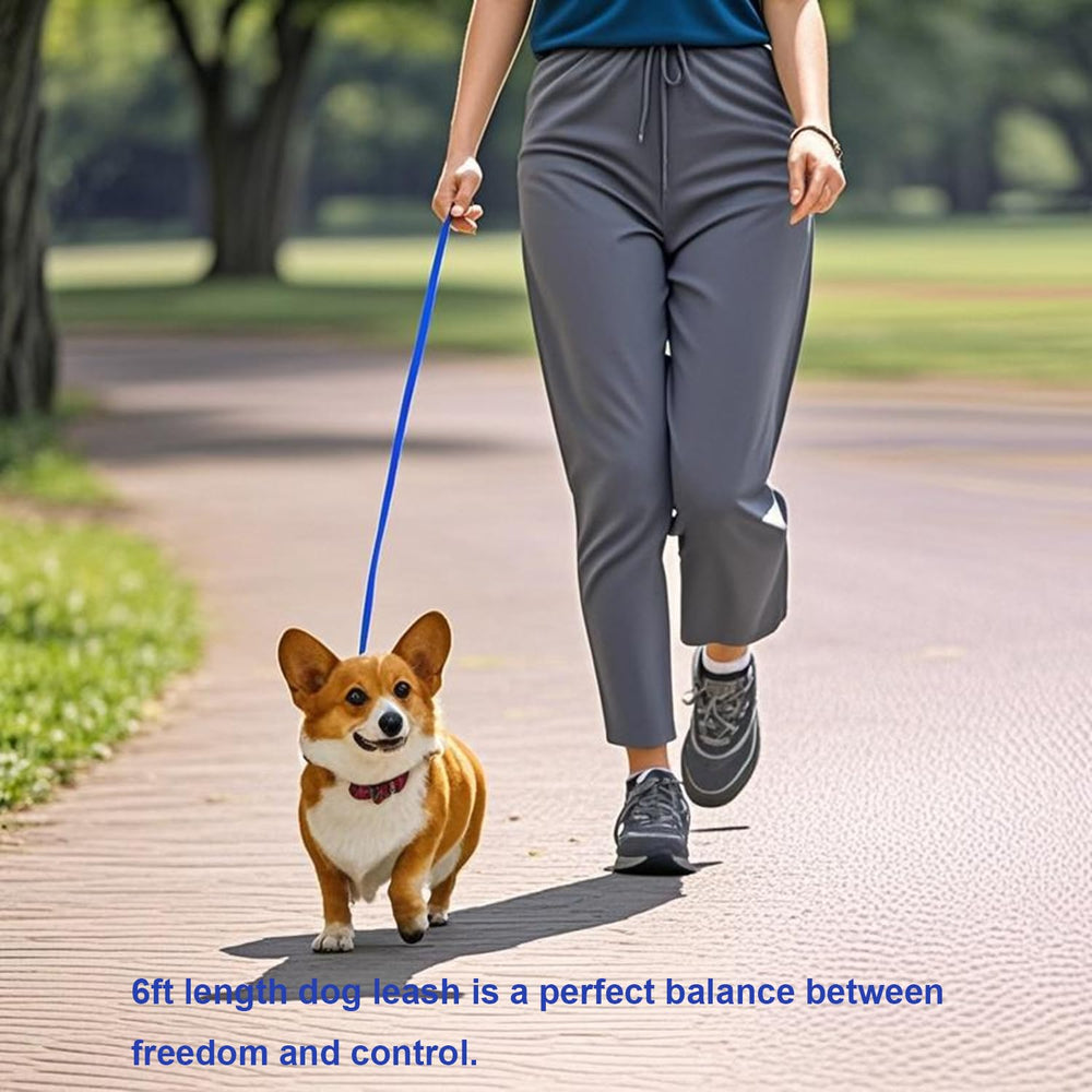 Siumouhoi puppy leash 6ft blue metal clip emphasizes durable clasp for training.