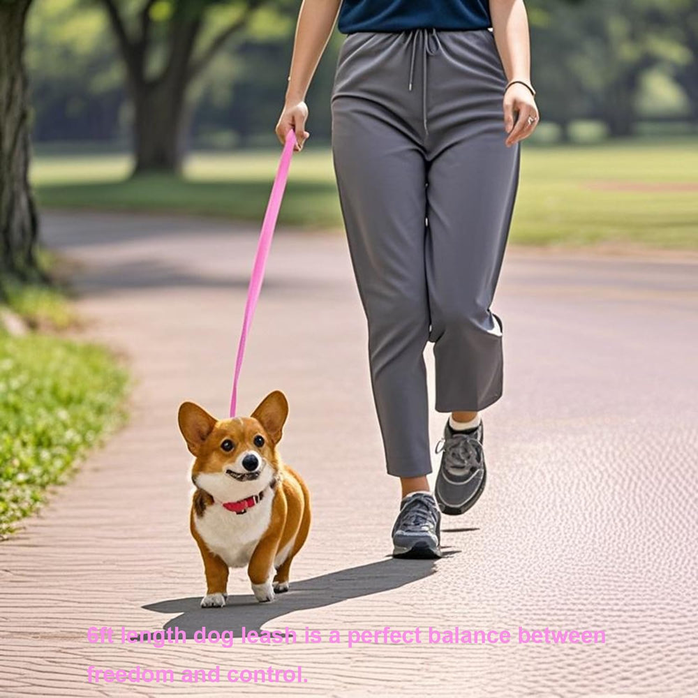 Siumouhoi leash clip close-up shows 360 degree metal clasp secured attachment