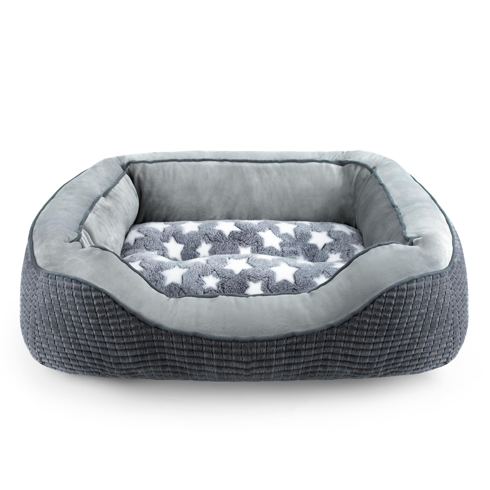 SIWA MARY pentagram pattern design adds stylish comfort for small dogs.