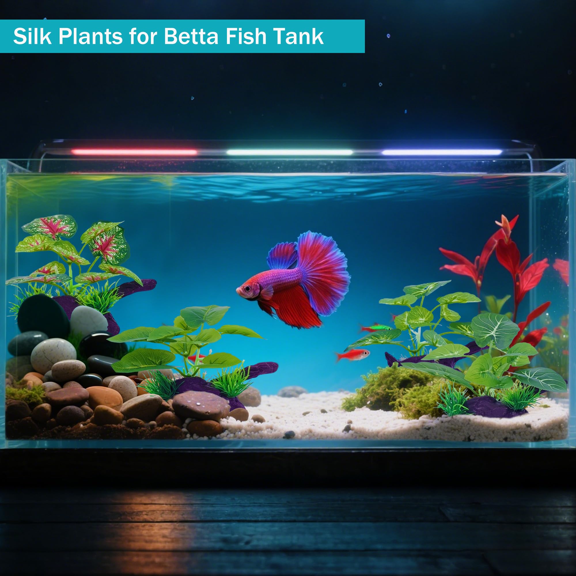 SIYIPURR silk aquarium plants with betta-friendly leaves to protect delicate fins.