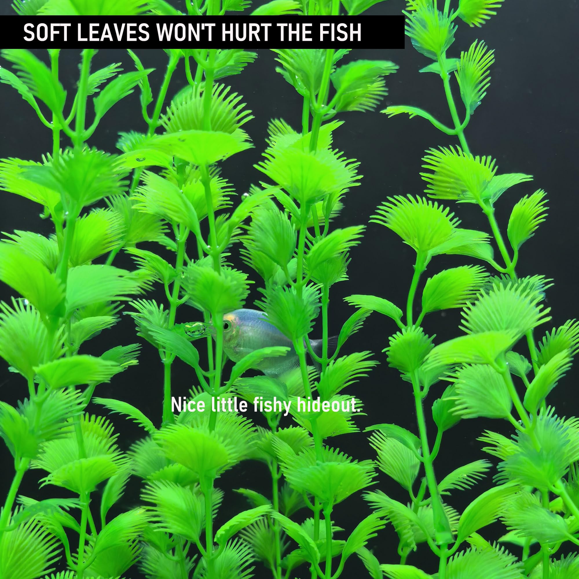 SIYIPURR durable plastic plants maintain color with no pruning.