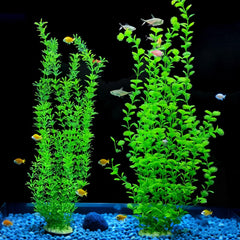 SIYIPURR heavy ceramic base keeps plants in place against currents.
