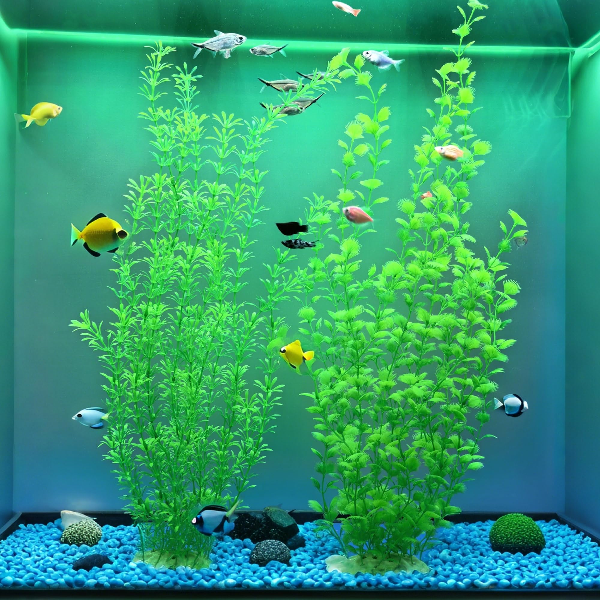 SIYIPURR compatible with freshwater and saltwater tanks for versatile setups.