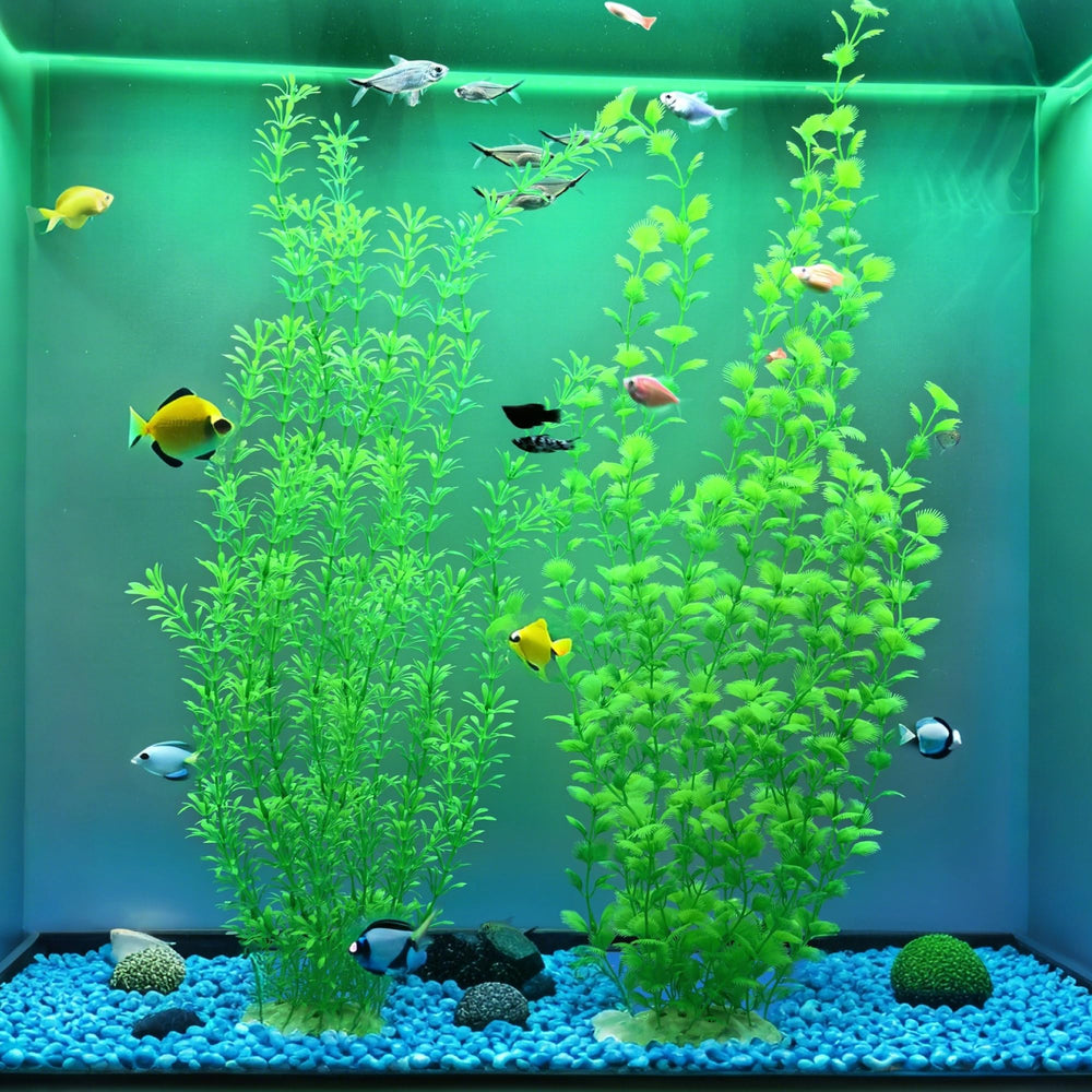 SIYIPURR compatible with freshwater and saltwater tanks for versatile setups.