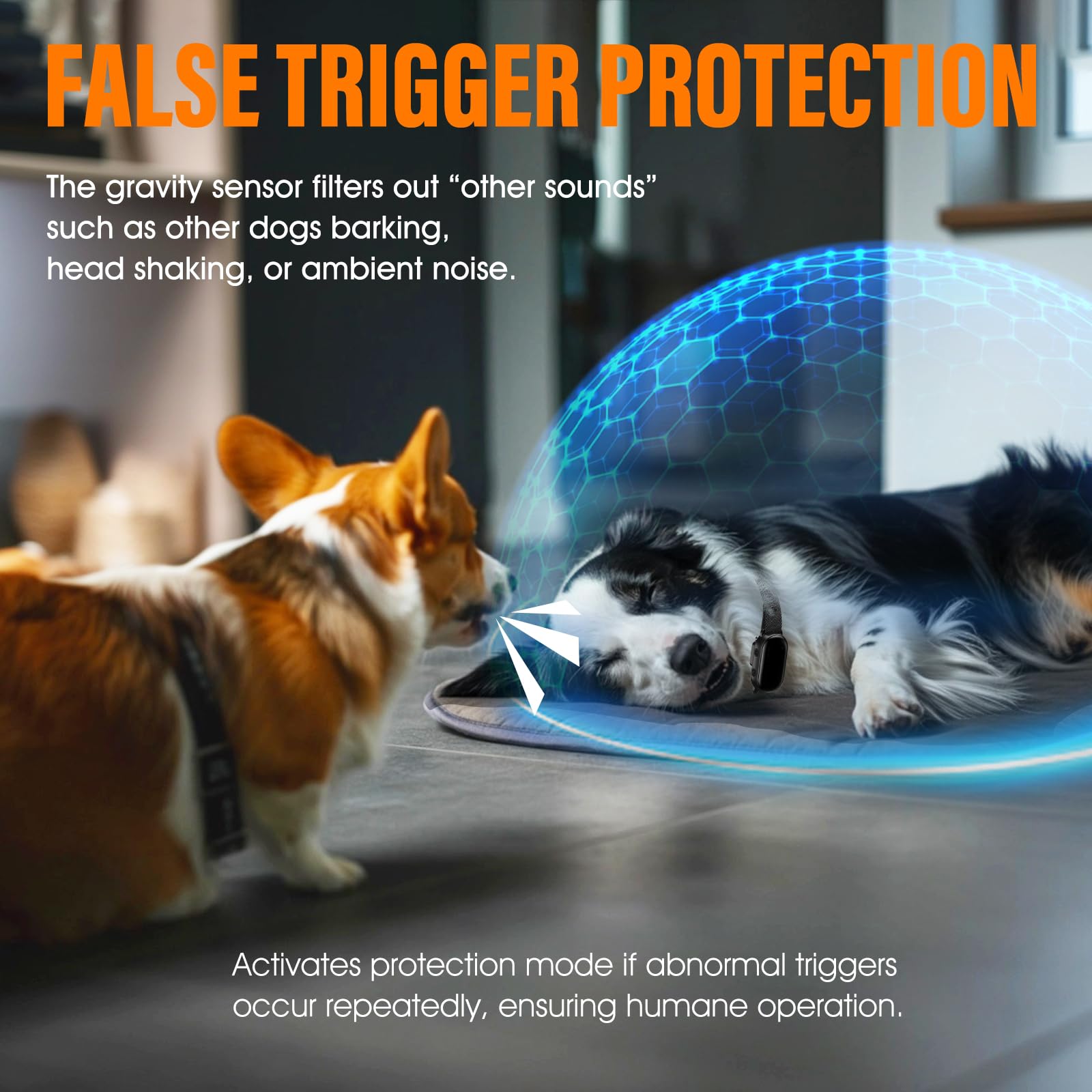 SKBAK adjustable 25-inch strap fits many dog sizes comfortably.