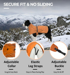 SKIPGEAR Softshell Dog Winter Vest Neck-toggle close-up shows adjustable wind protection.