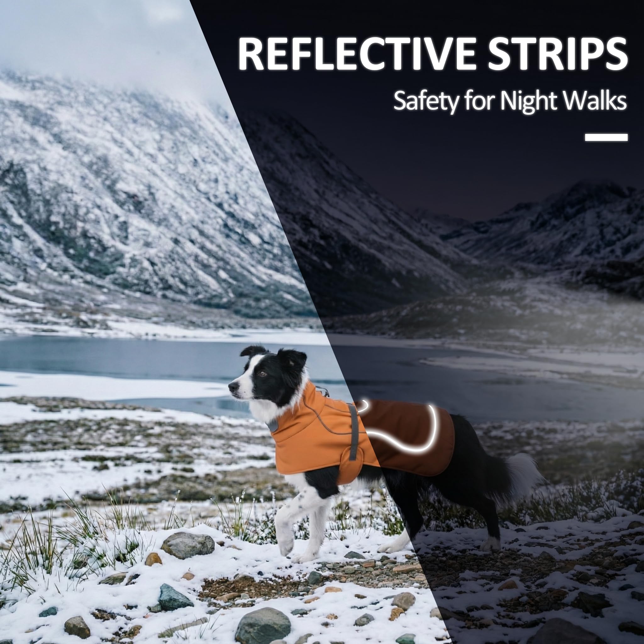 SKIPGEAR Softshell Dog Winter Vest Reflective piping for safer evening walks.