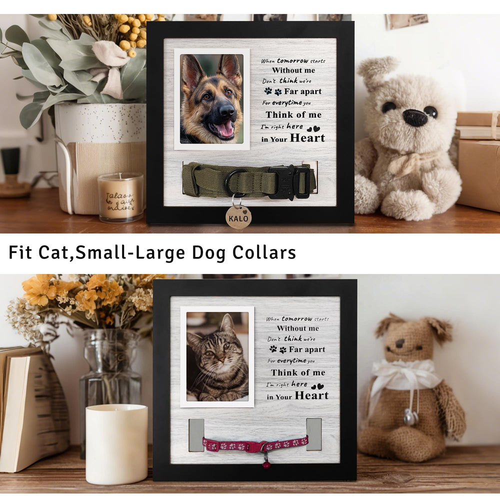 Skittypurr pet memorial frame collar display showing treasured keepsake.