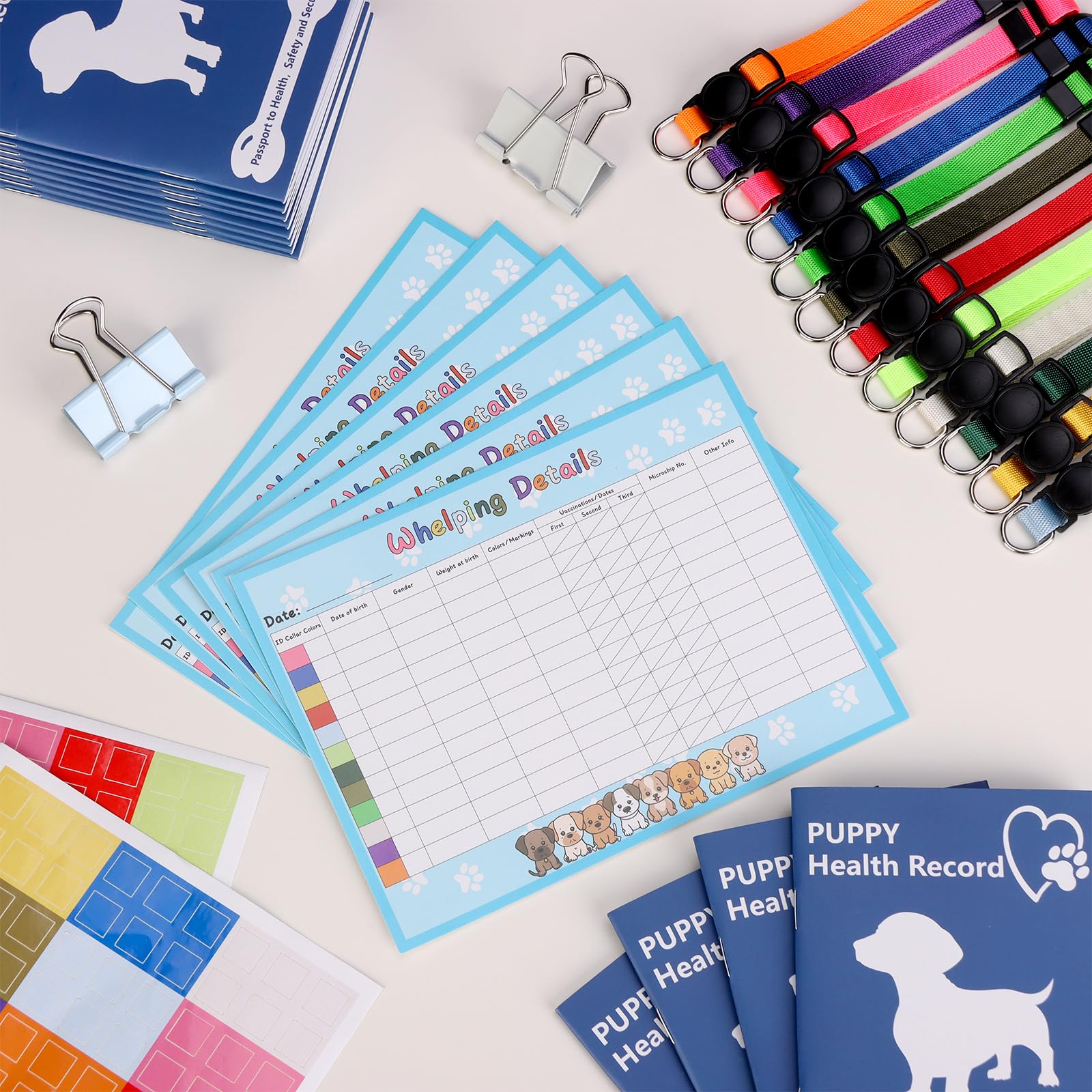 SKLENICE color stickers 12 colors arranged for easy collar matching