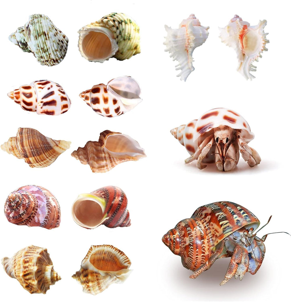 SKOOLOVE natural materials no dyes ensure a safe habitat