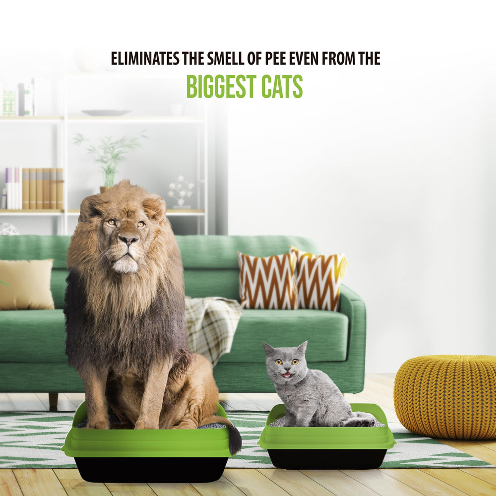 Skoon diatom pebbles absorb quickly, locking moisture and odor