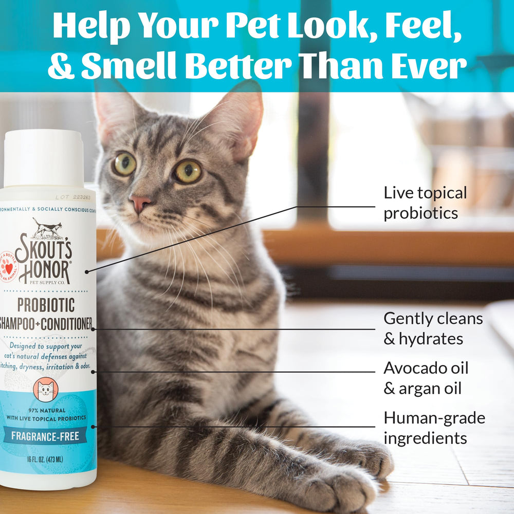 Skout's Honor 16oz packaging shown for long-lasting grooming sessions.