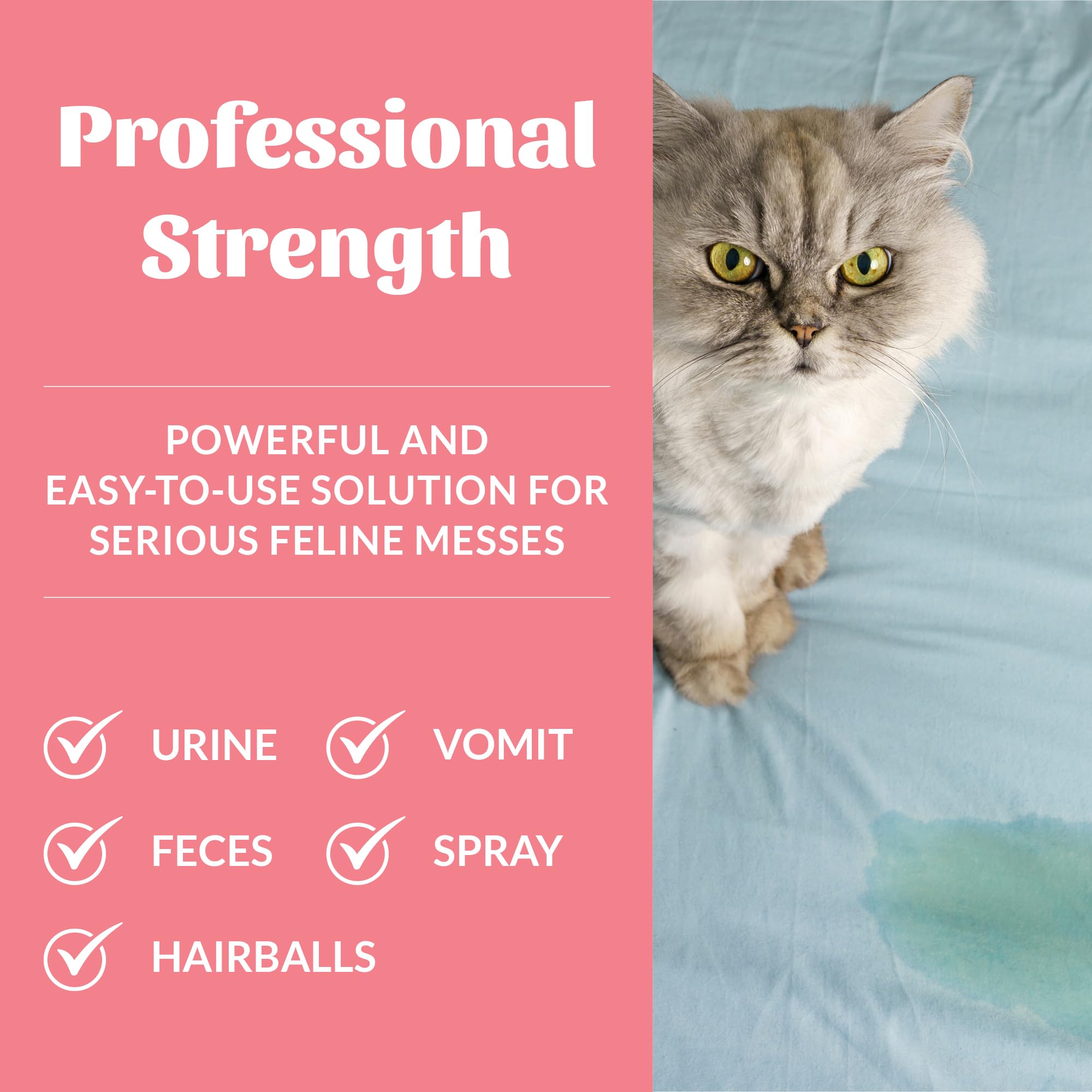 Cap pour action demonstrates easy, controlled application for spot treatment on carpet.