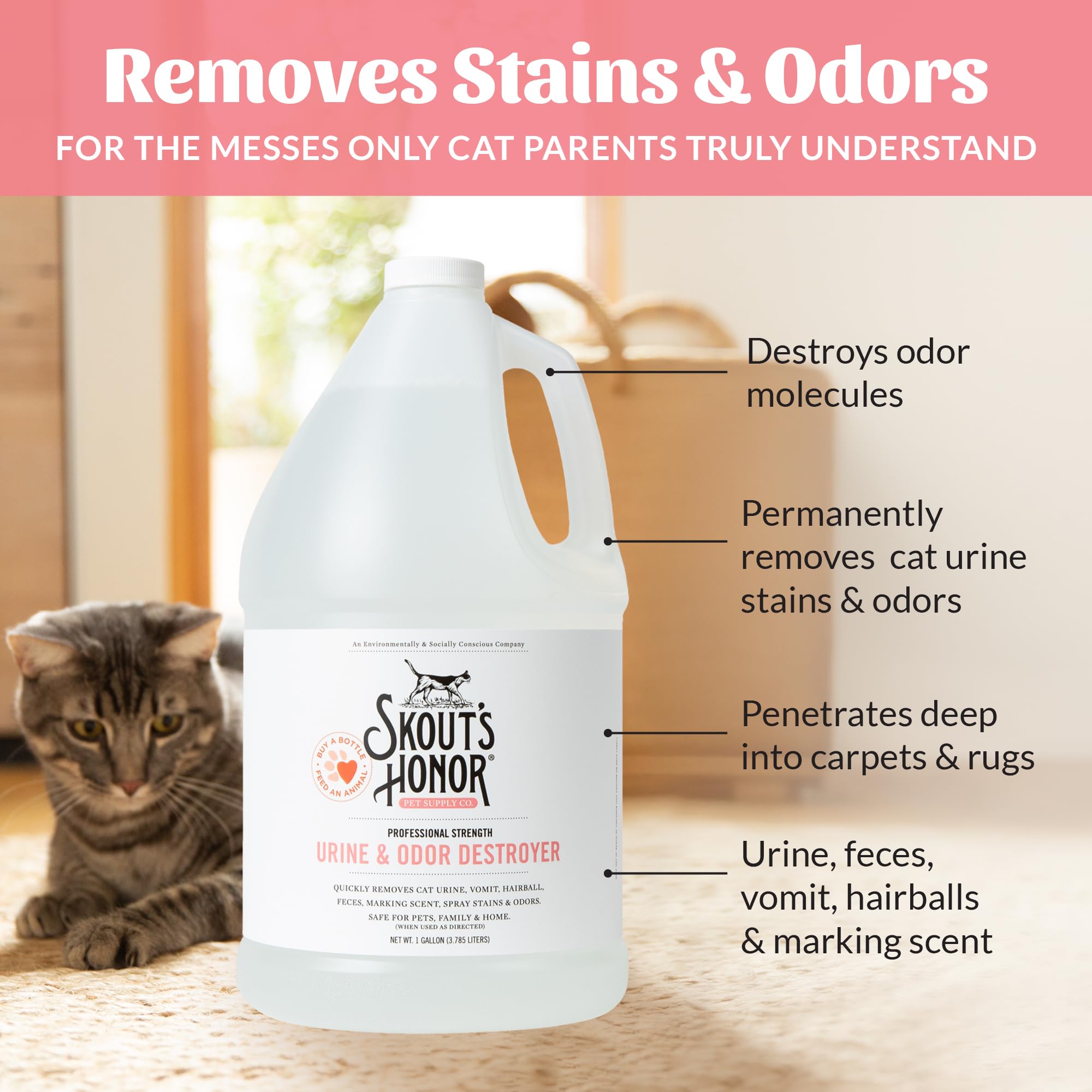 Carpet stain treatment on a rug showing effective odor and stain removal.