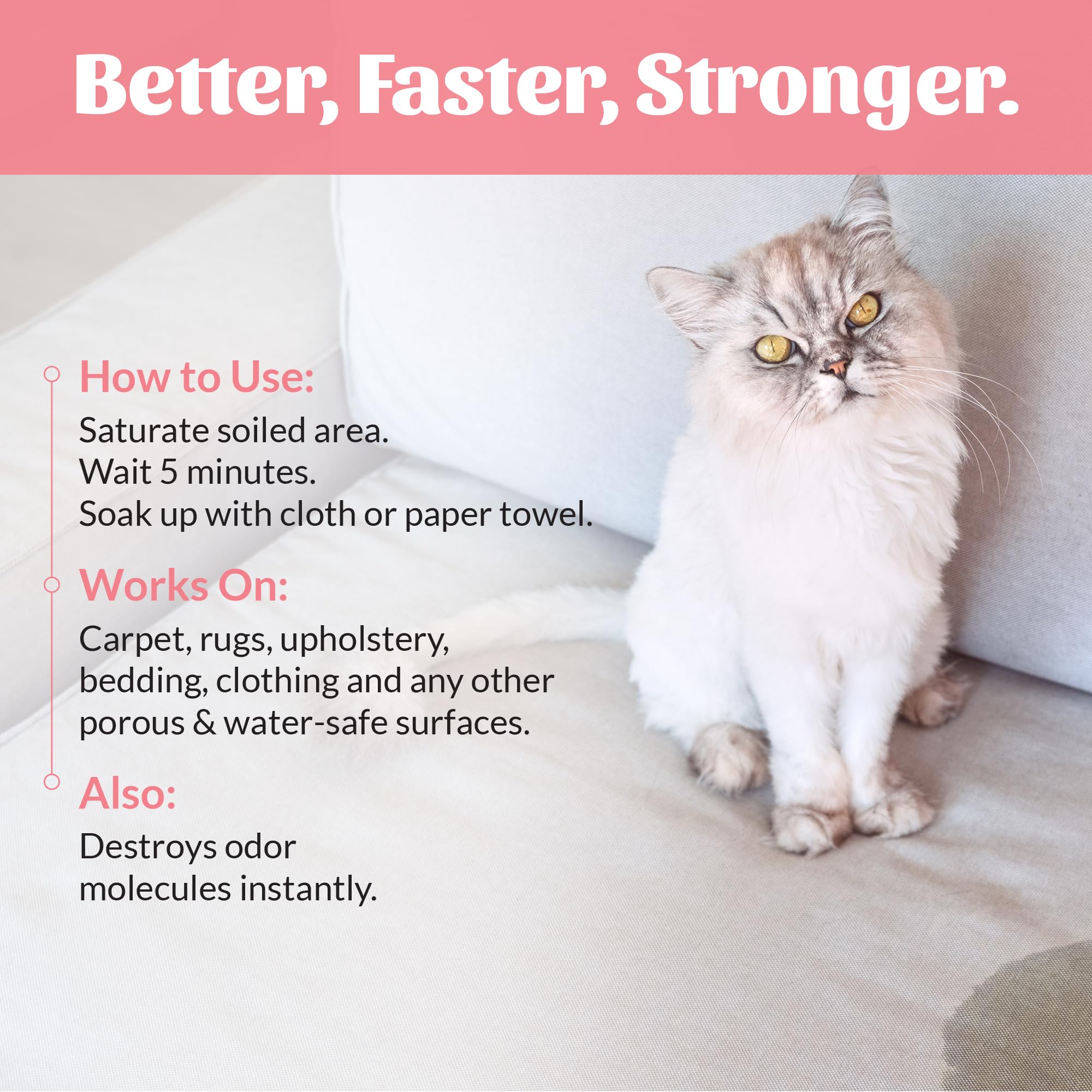 Home user applying cleaner to pet-area carpet for daily messes.