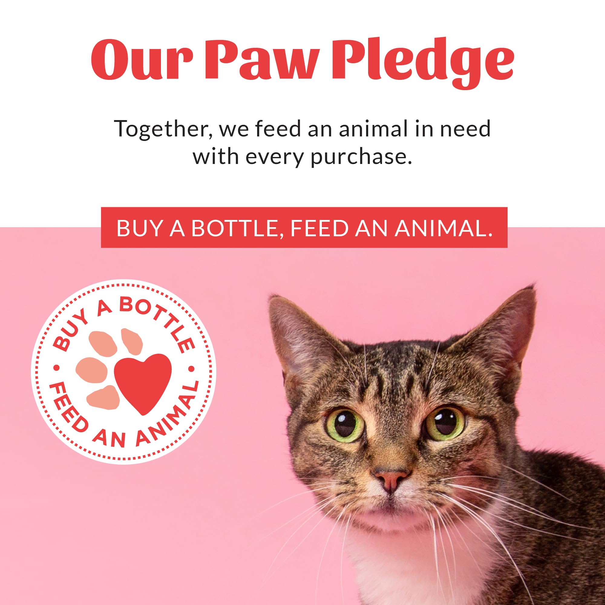 SKOUT'S HONOR home-use scenario shows fresher air after spraying.