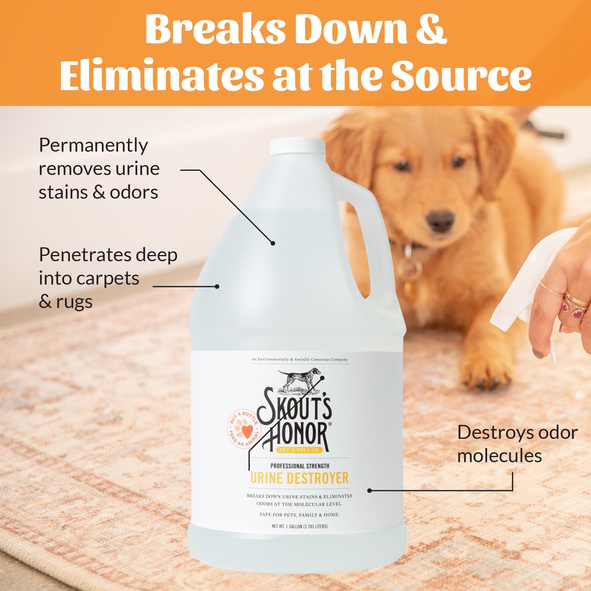 SKOUT'S HONOR Dog Urine Destroyer applying on carpet shows stain busting in real rooms
