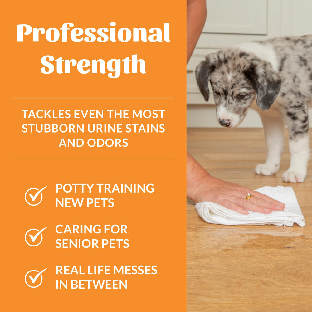 SKOUT'S HONOR Dog Urine Destroyer pour-measure area demonstrates easy application