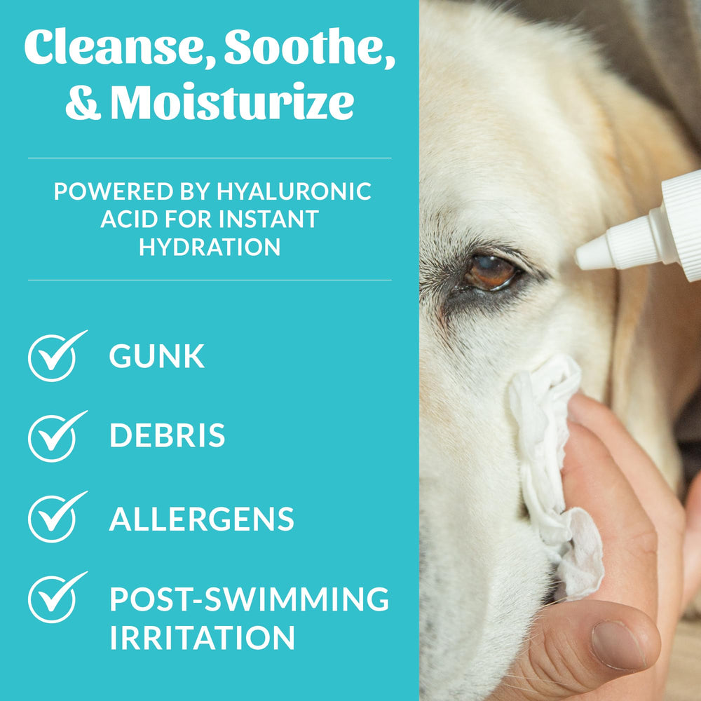 SKOUT'S HONOR HydroClear Eye Wash applied to a dog for gentle daily eye care.