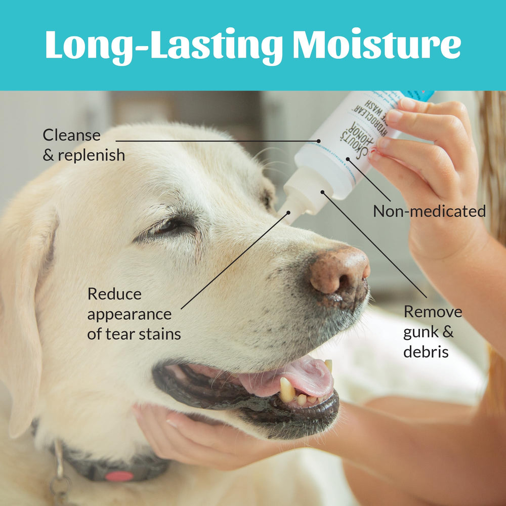 SKOUT'S HONOR Hyaluronic acid detail shows moisture retention benefits for pets.