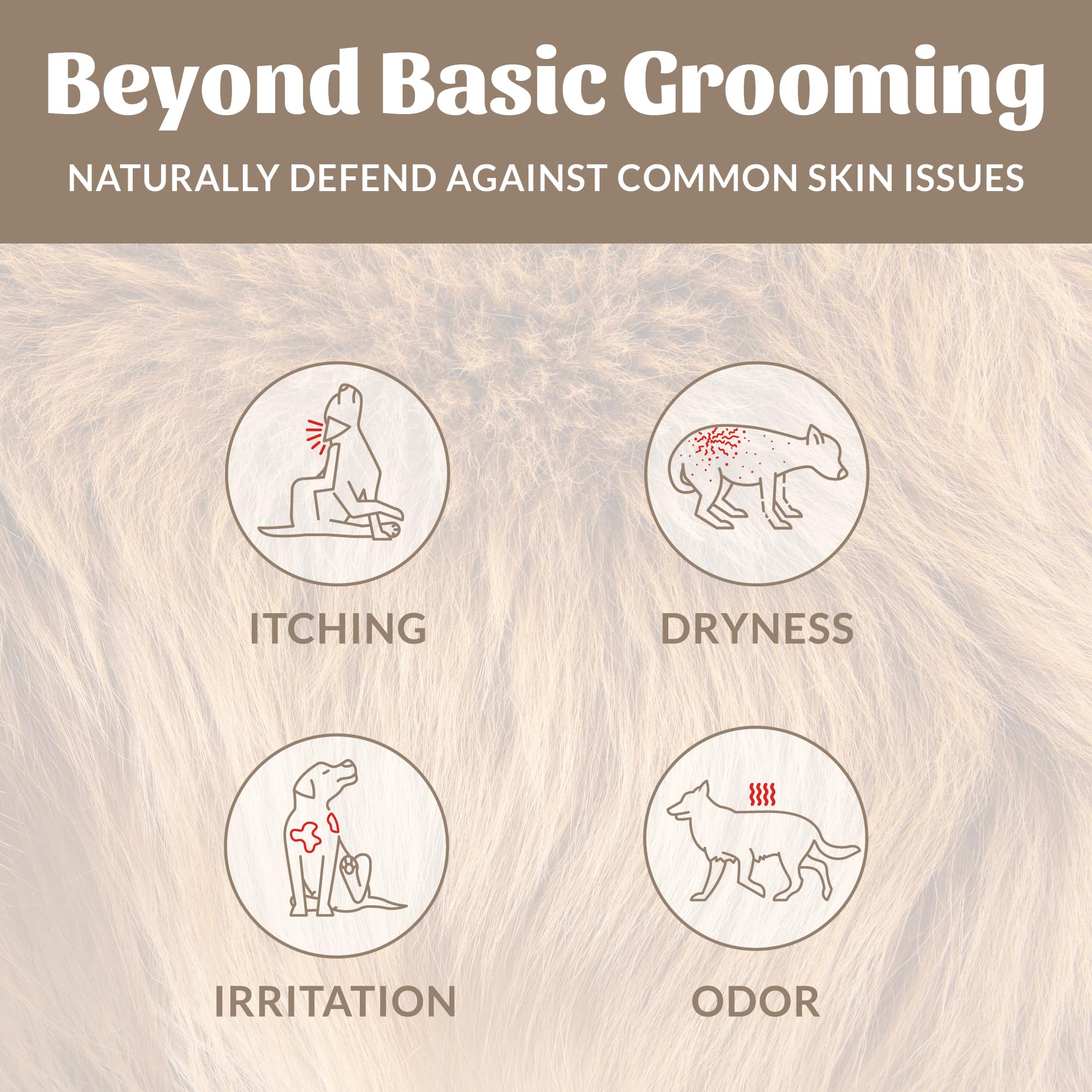 SKOUT'S HONOR microbiome-friendly certification badge signals balanced skin for dogs.