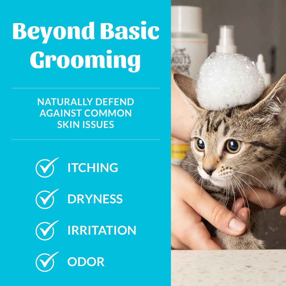 Skout's Honor natural fragrance-free label highlights gentle, paraben-free formula.