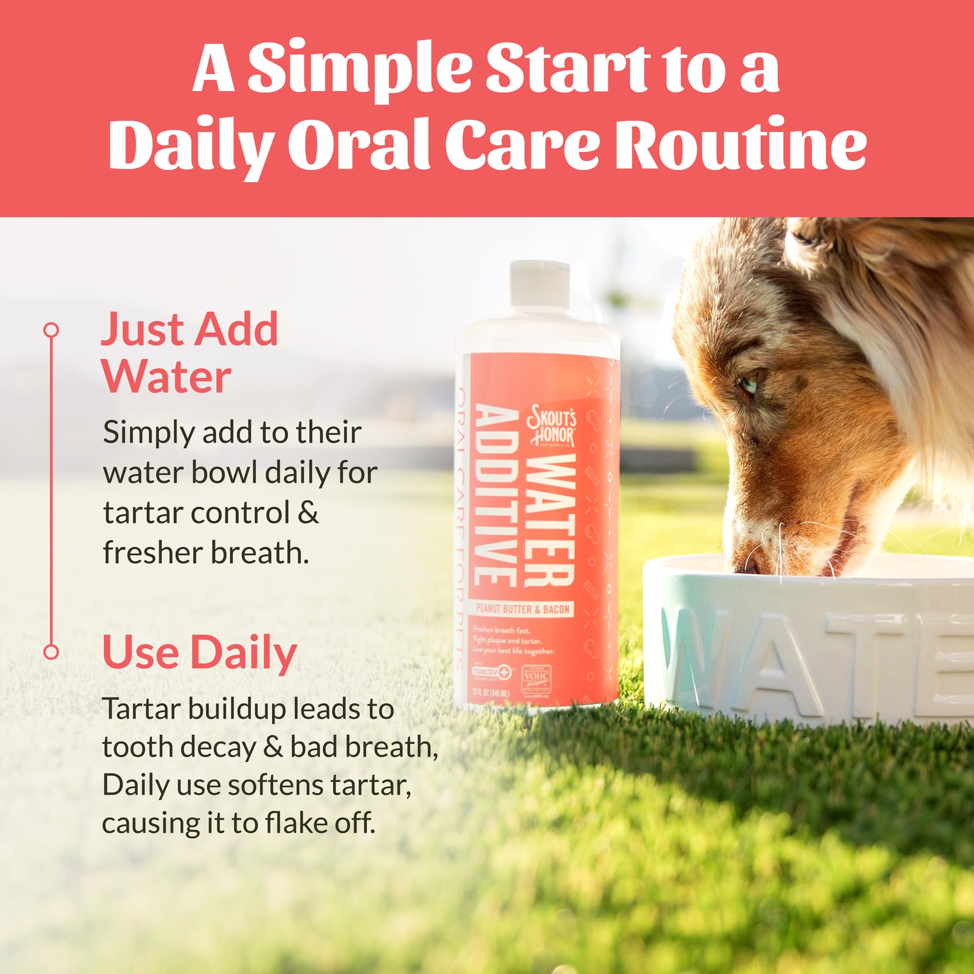 Skout's Honor pet-safe formula label emphasizes alcohol, parabens, CHG, CPC, and chlorine dioxide-free.