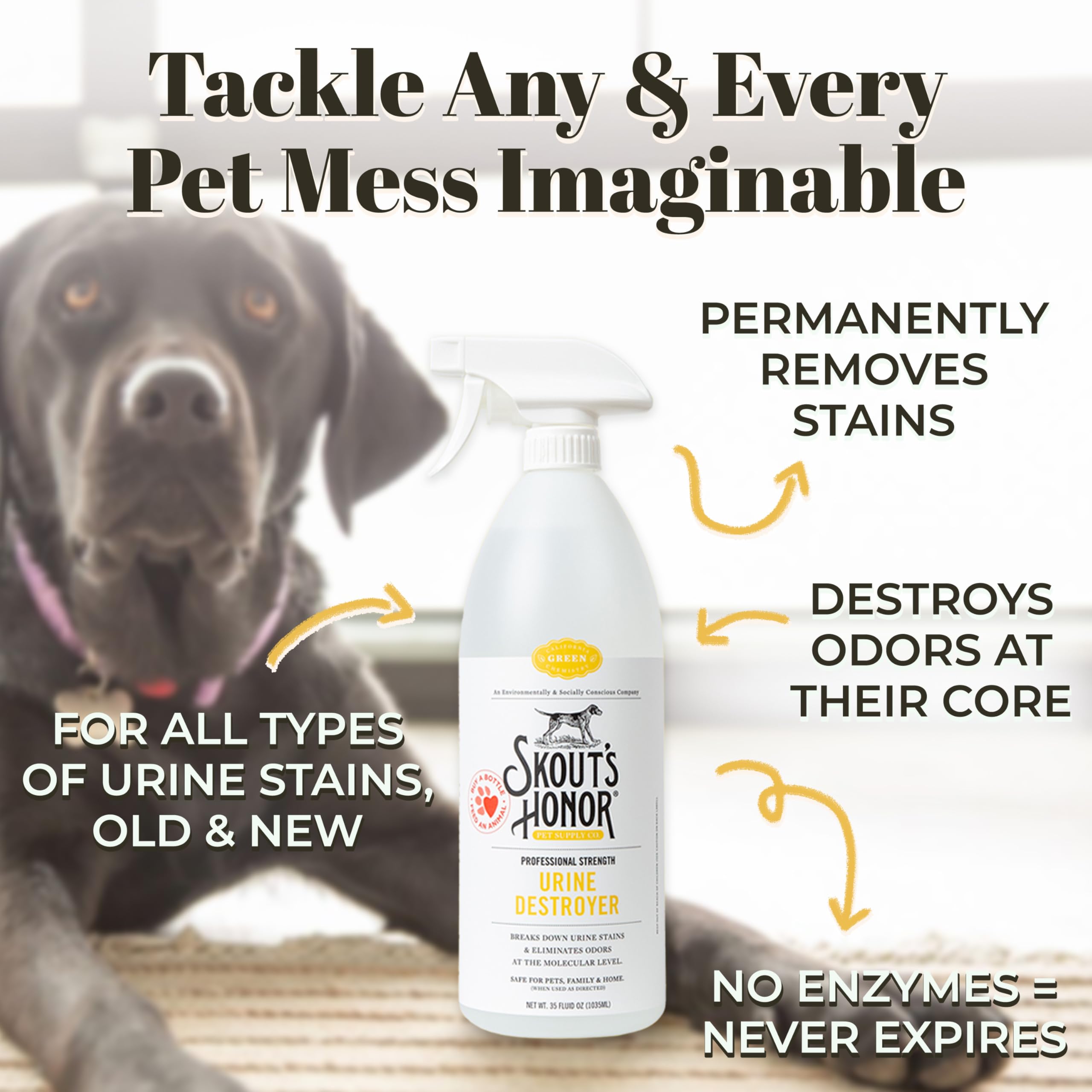 Skout's Honor plant-powered cleaner bottle demonstrating eco-friendly carpet care