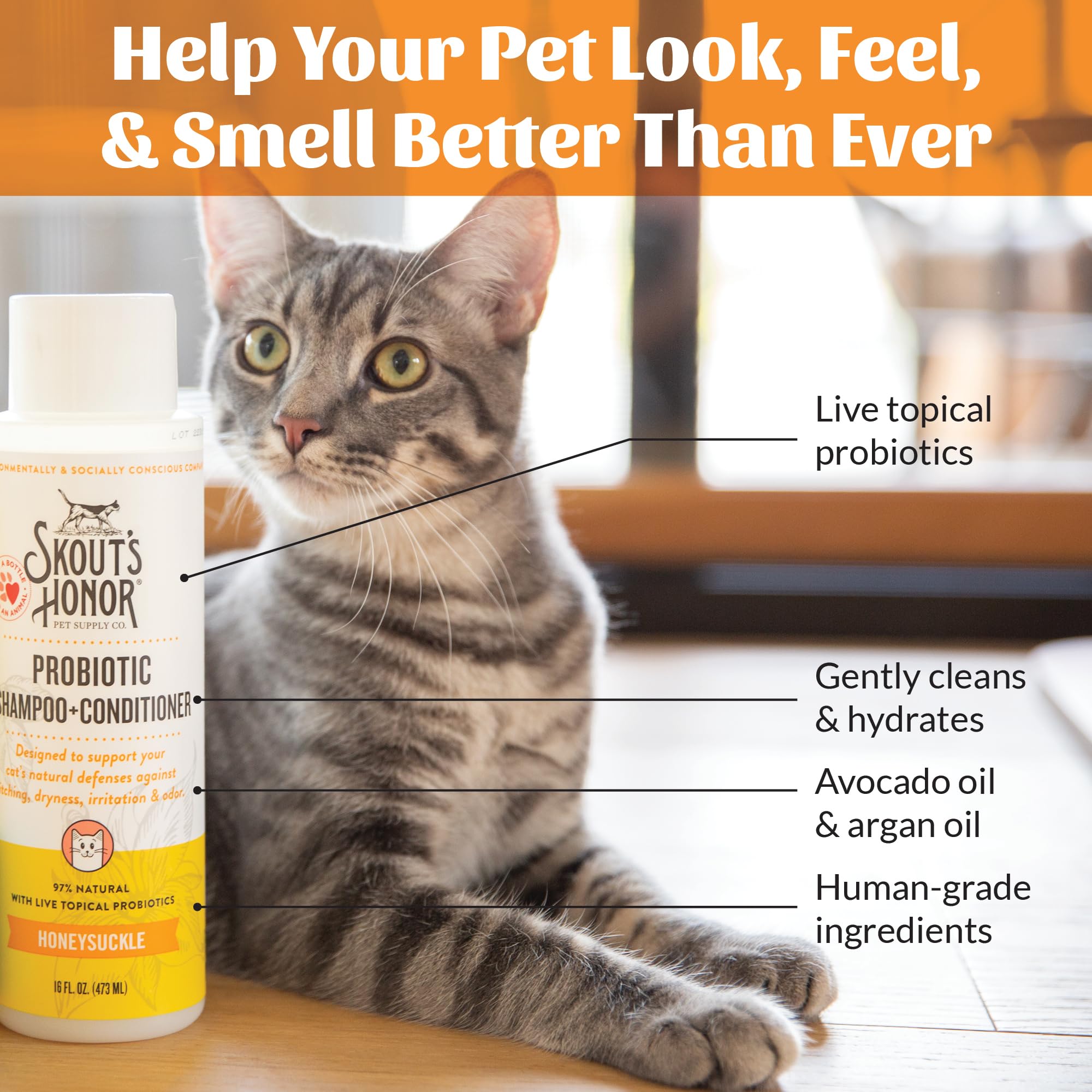 Skout's Honor probiotic cat conditioner bottle front with avocado oil benefits
