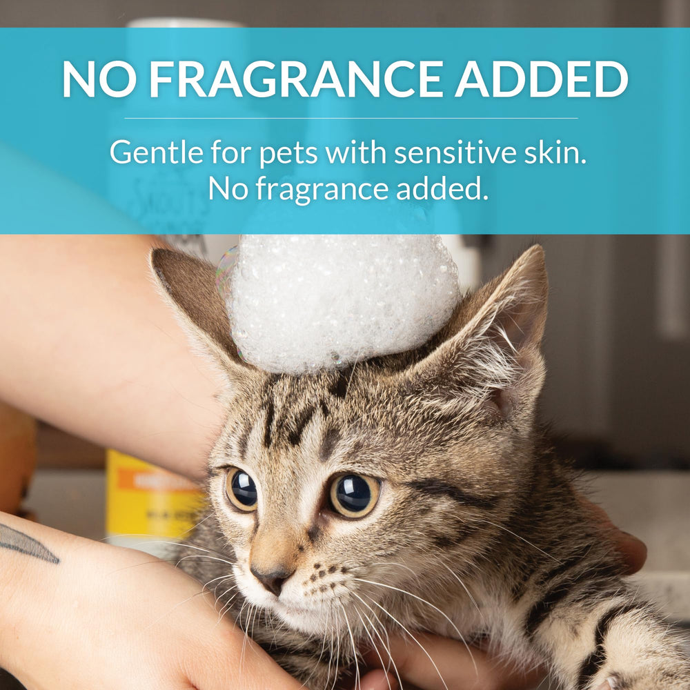 Skout's Honor probiotic cat shampoo microbiome support for itching and odor control.