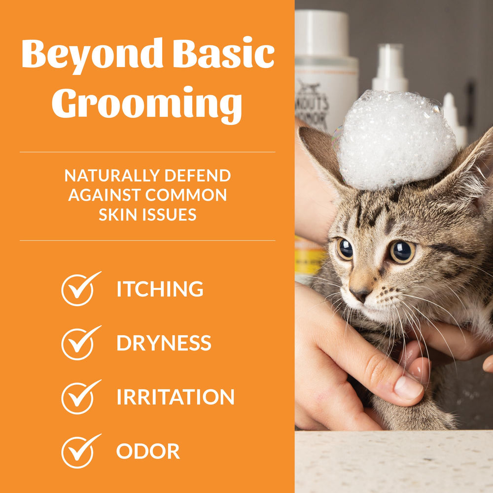 Skout's Honor probiotic cat shampoo pour closeup showing creamy lather potential