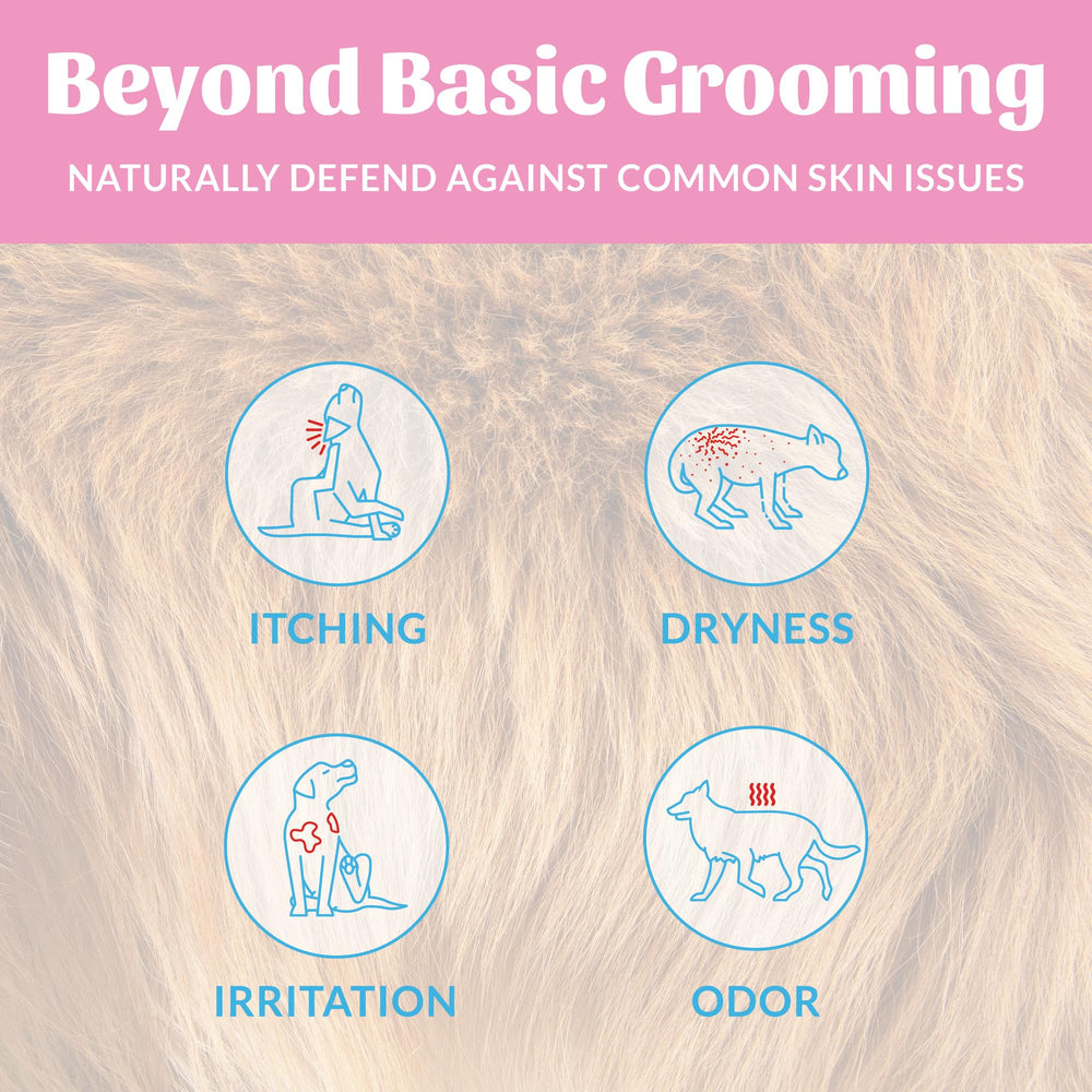 SKOUT'S HONOR label highlights avocado oil and omega-3s for coat care.