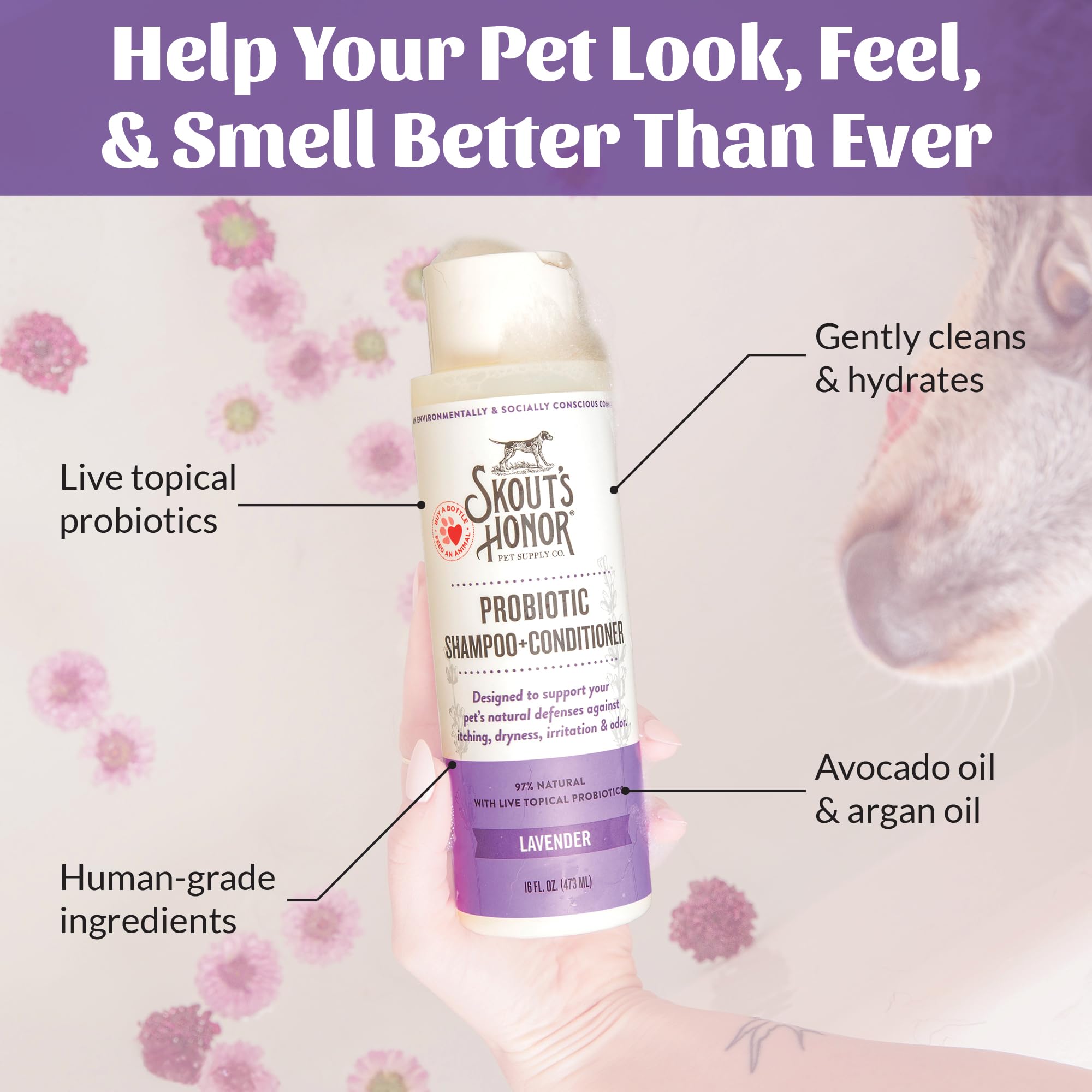 Skout's Honor probiotic dog conditioner lavender bottle highlights detangling and shine.