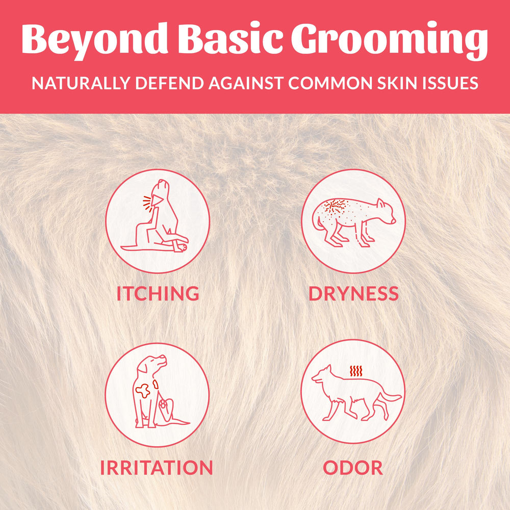 Skout's Honor probiotic shampoo highlights avocado oil ingredient for moisturized skin.