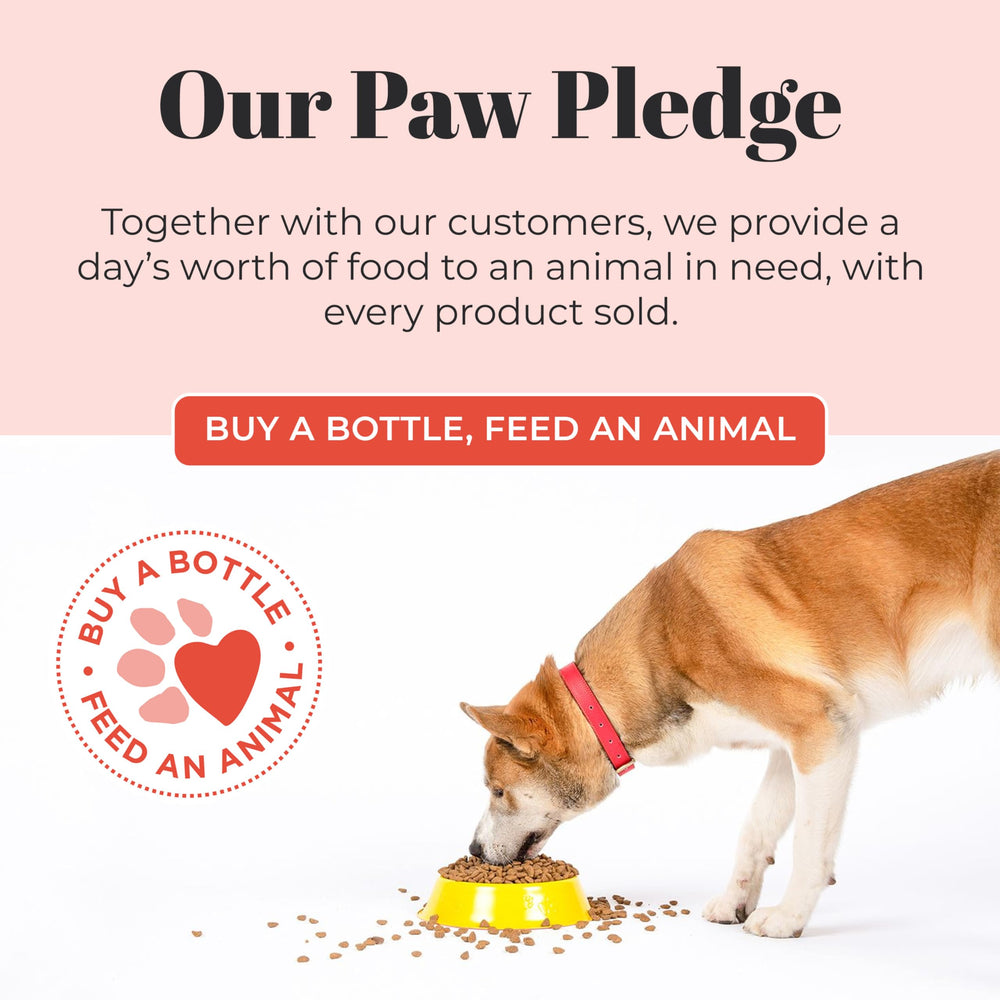 Skout's Honor probiotic dog shampoo cruelty-free logo highlights ethics.