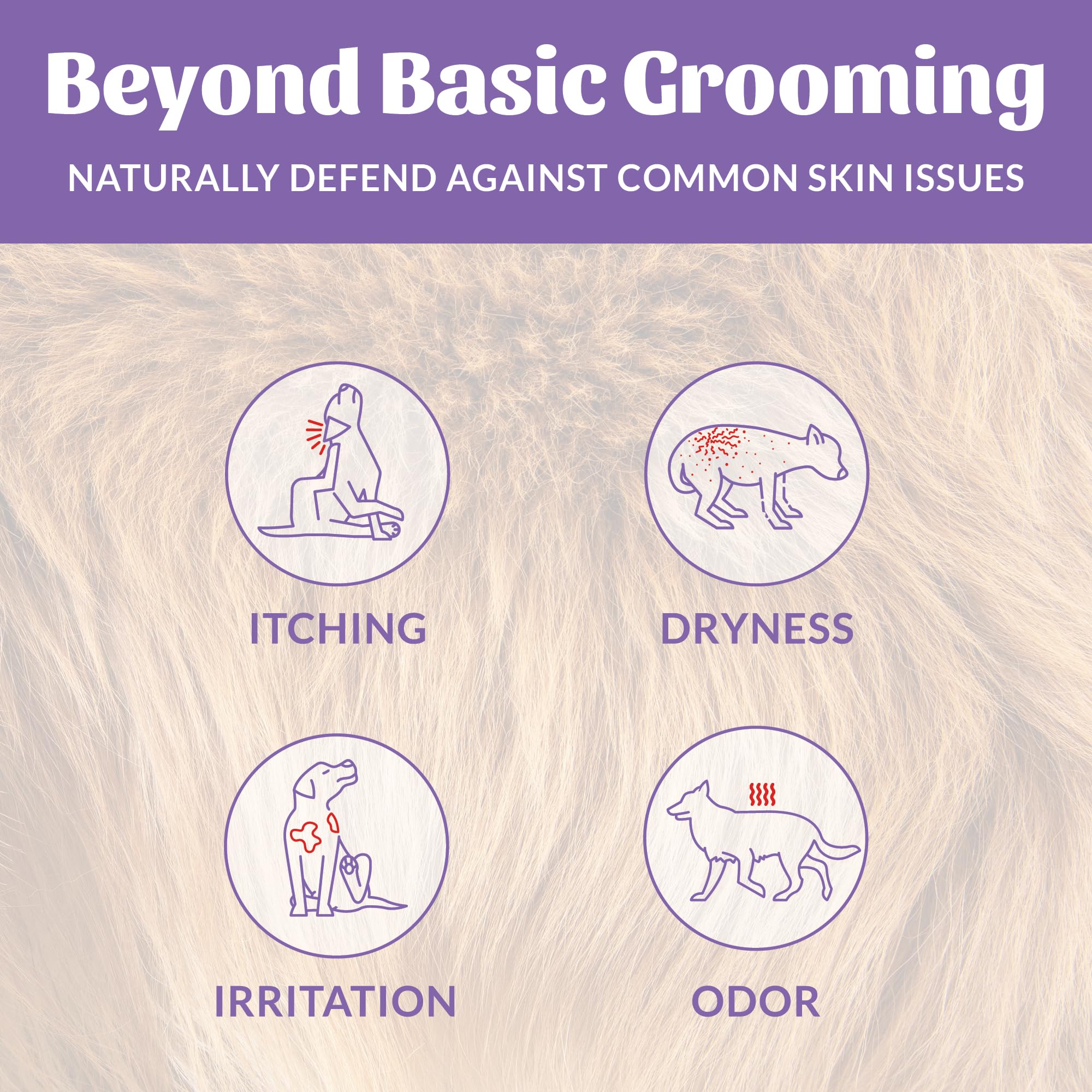 Skout's Honor probiotic dog shampoo lavender foam illustrates easy, even coat spread.