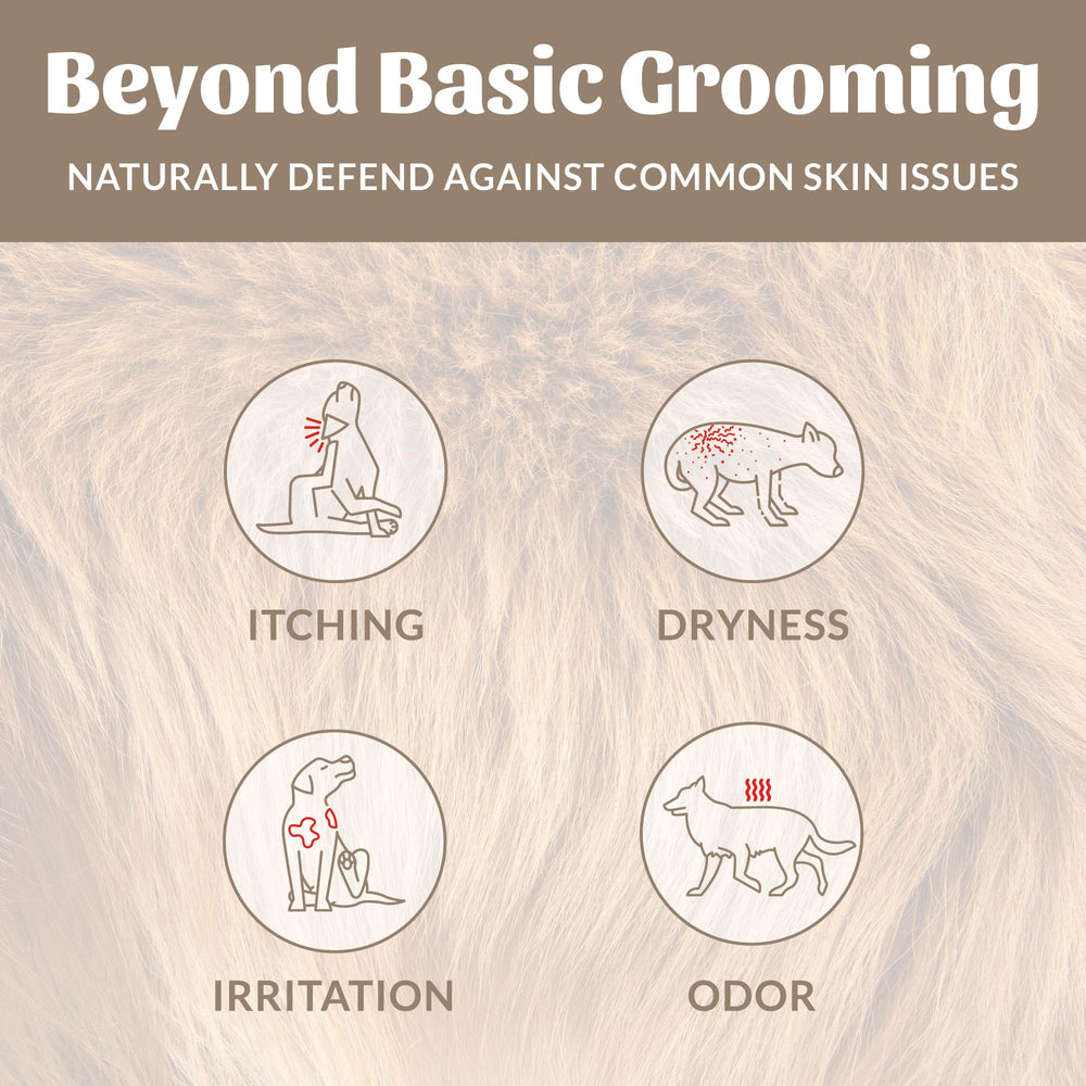 Skout's Honor probiotic-pet-shampoo-dog-bath-time highlights easy rinse and a healthy-looking coat.