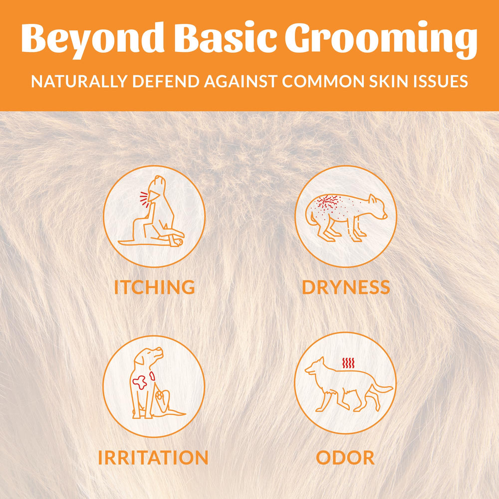 Skout's Honor Puppermint shampoo foaming lather ready for quick, comfortable bath times.