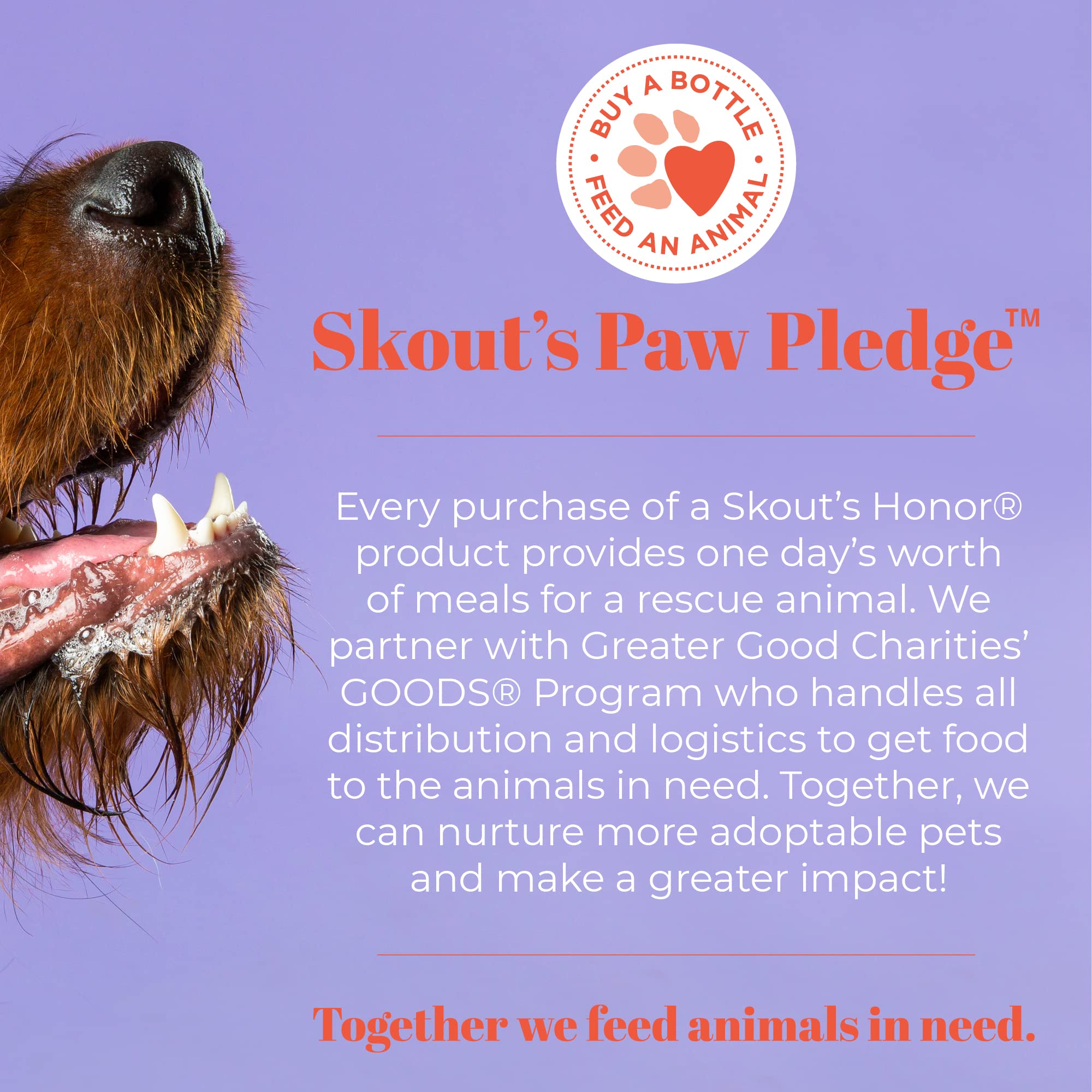 SKOUT'S HONOR Severe Mess on bedding yields fresh, soft fibers.