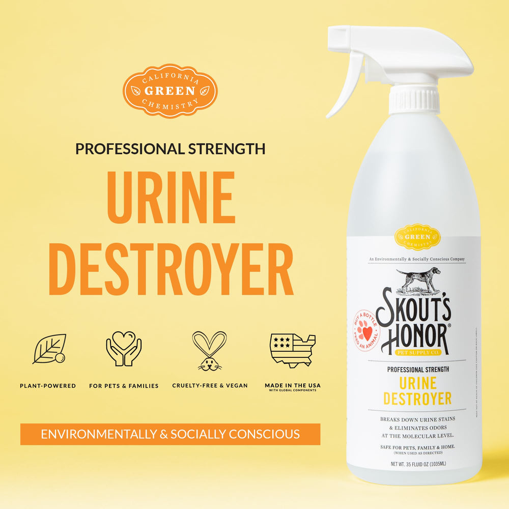 Skout's Honor stain removal foam spray applied to carpet for quick spot treatment