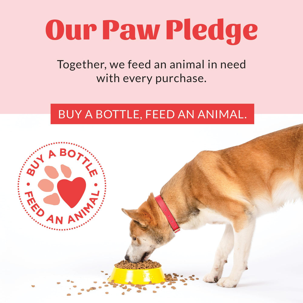SKOUT'S HONOR Stop Marking Paw Pledge donation badge