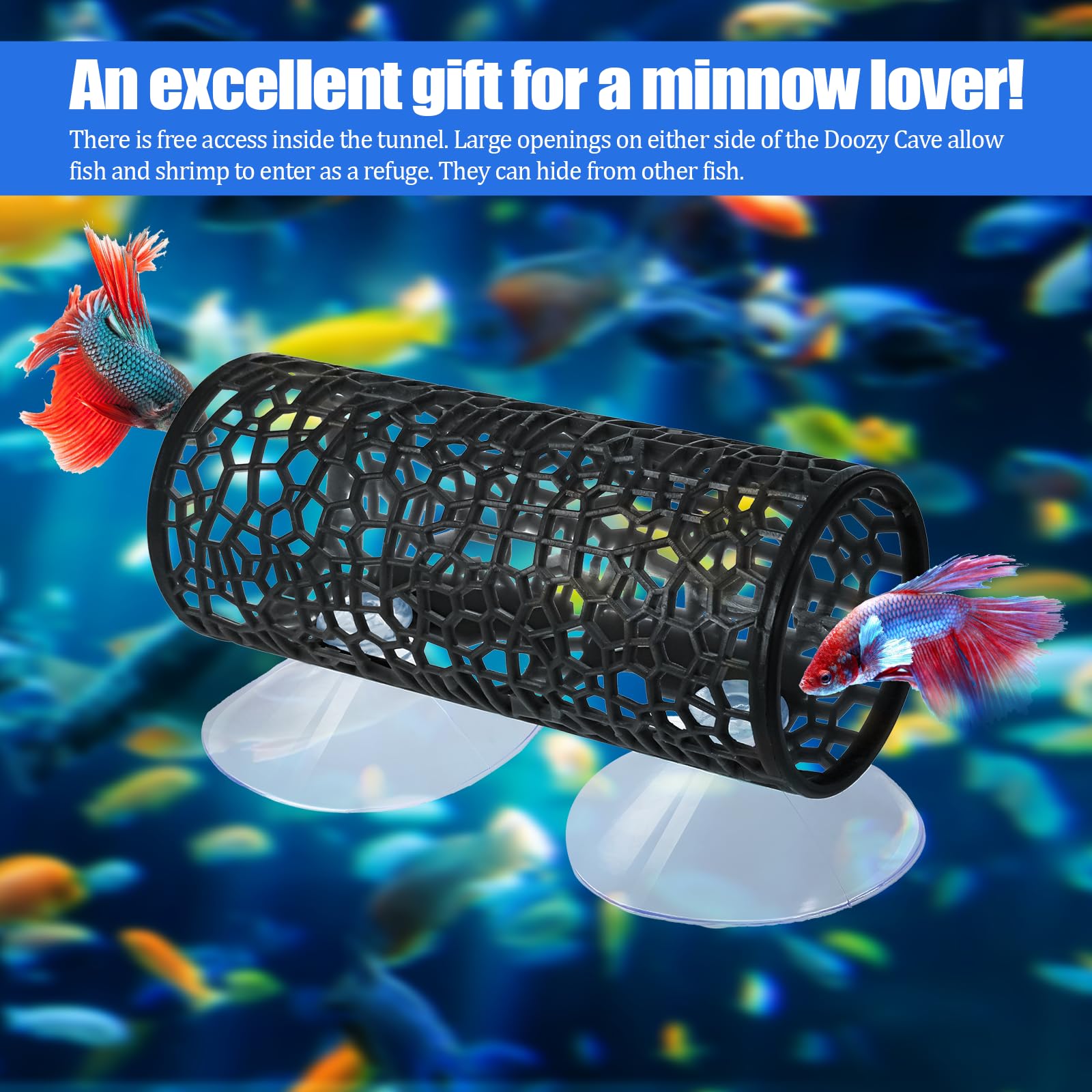 Skrfrren Betta Tunnel installed inside the aquarium