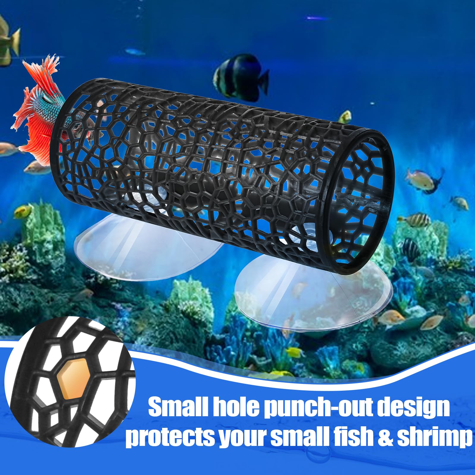 Skrfrren suction cups securing Betta Tunnel setup