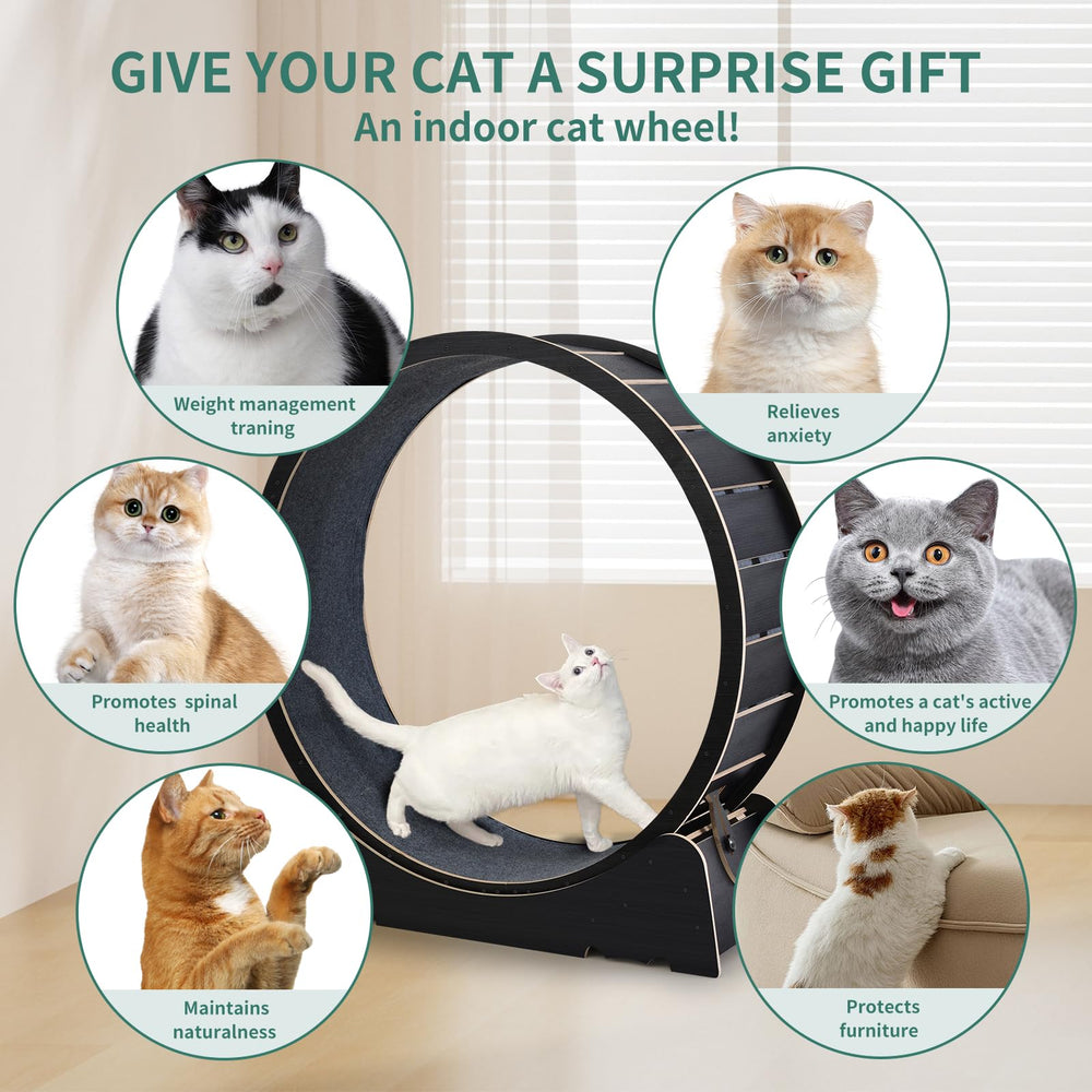 Skrnqcoz large cat exercise wheel dimensions show fit for various room sizes and cats