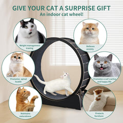 Skrnqcoz large cat exercise wheel dimensions show fit for various room sizes and cats