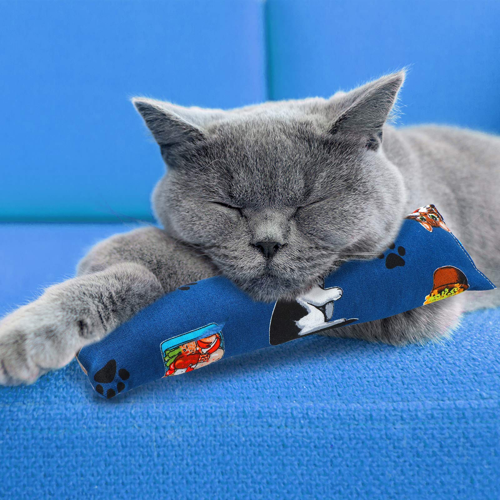 Skylety cat kicker toy in action during indoor playtime