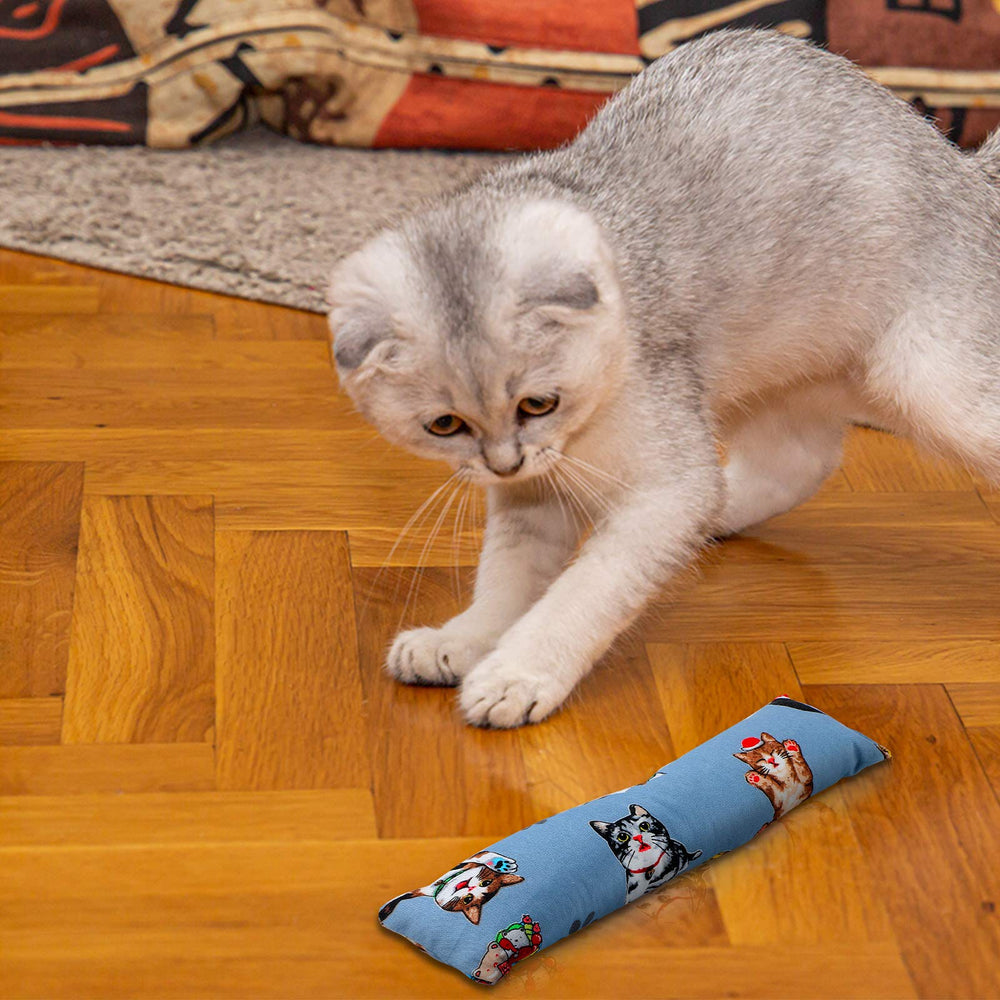 Skylety 4-piece cat kicker pack ready for shared playtime