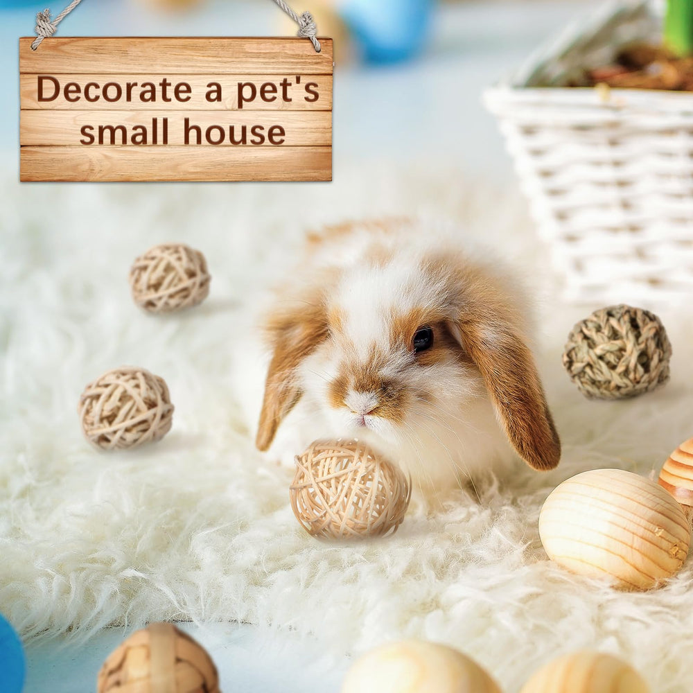 Skylety chew balls dry storage keeps toys ready