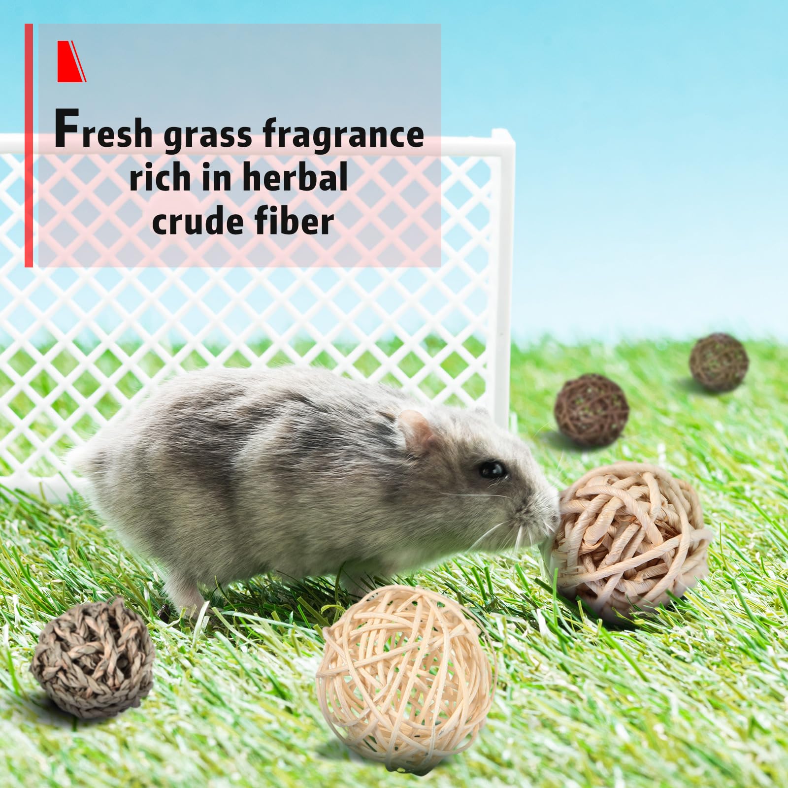 Skylety chew balls safe materials designed for prolonged gnawing