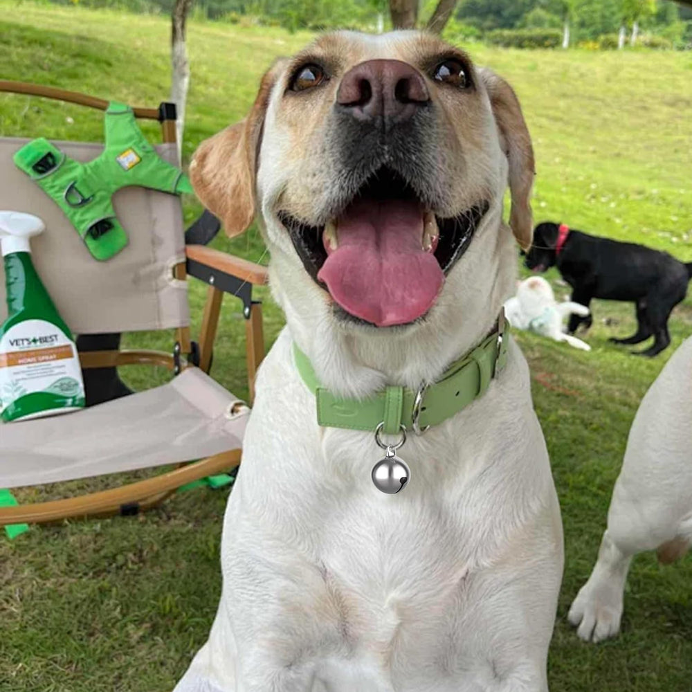 SKYPIA durable metal bell detail showing sturdy build.